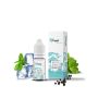 Menthe Boréale 10ml par 10 - Cupide - 6mg